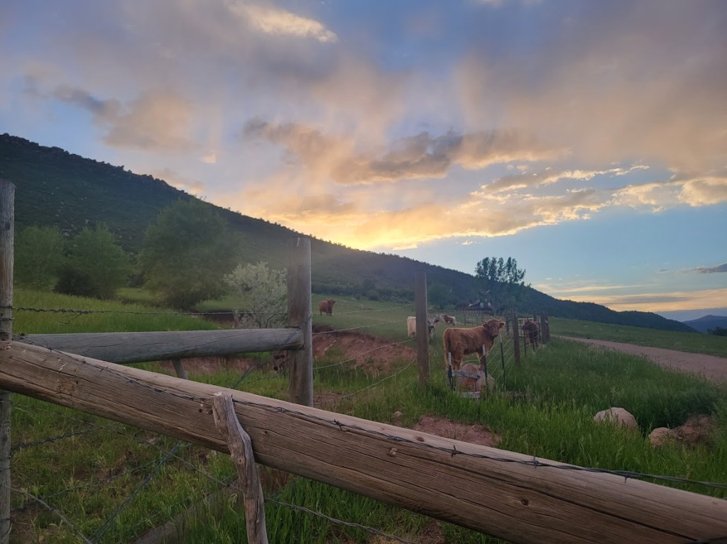 Baby Steps onto the&nbsp;River