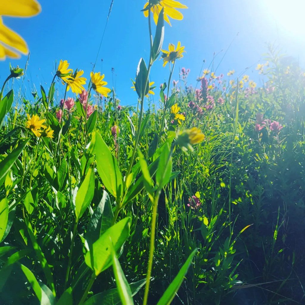 I found Love in a Hopeless&nbsp;place…