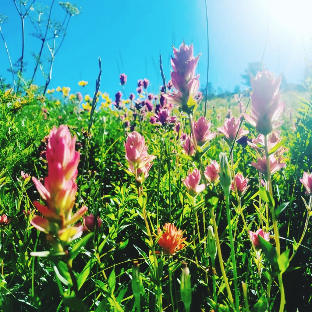Rainbow Amidst the&nbsp;Rain