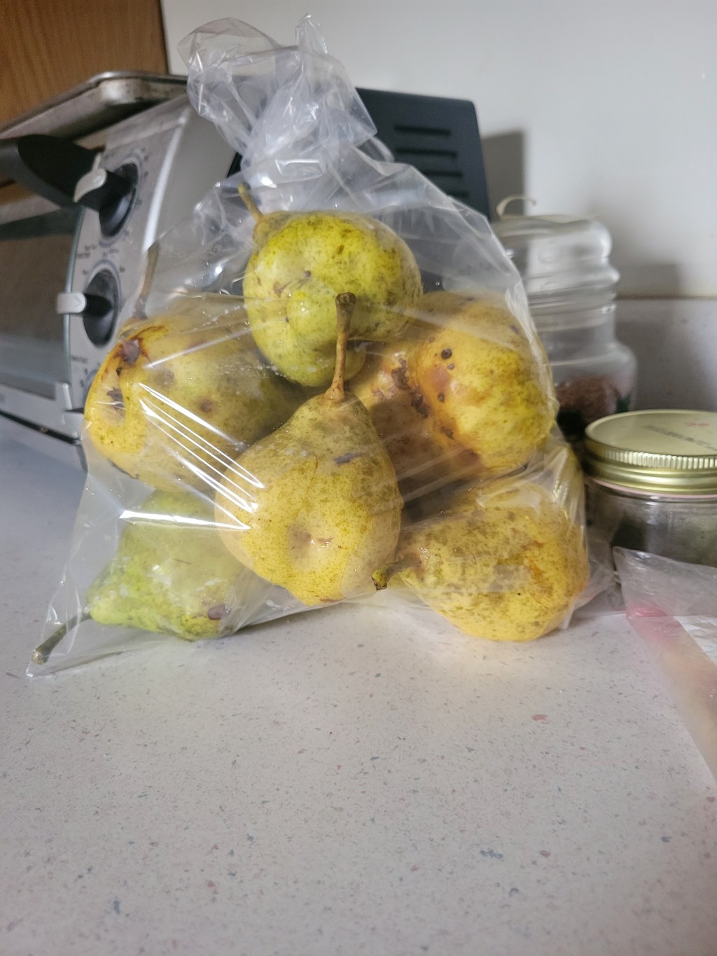 Bounties of the&nbsp;Unexpected