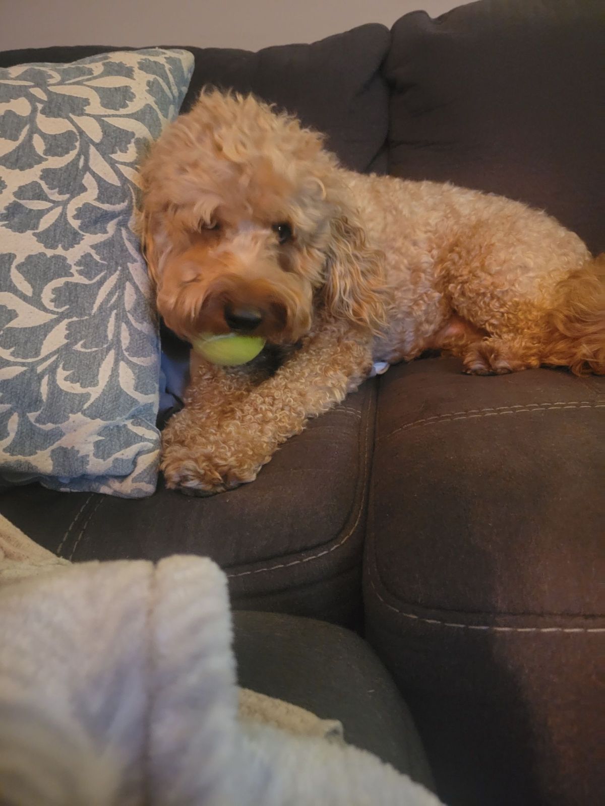 Just in time for Halloween I created a crime scene. The rhinal rocket&nbsp;story.